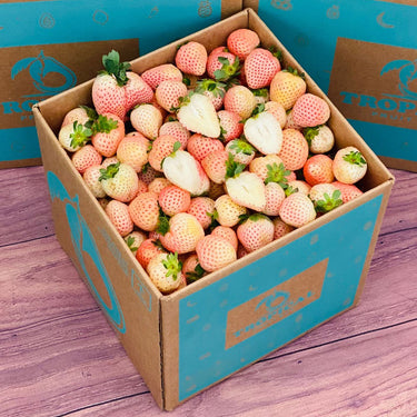 Pineberry White StrawberriesMedium (5 Pounds)
